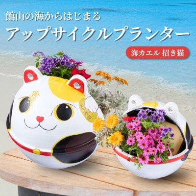 アップサイクルプランター　海カエル招き猫(1個)