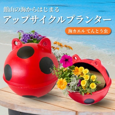 アップサイクルプランター　海カエルてんとう虫(1個)