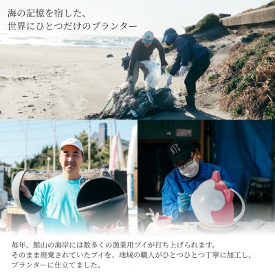 アップサイクルプランター　海カエルてんとう虫(1個)