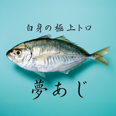 【世界初】夢あじ(幻のアジ「カイワリ」×南房総産「金アジ」)丸ごと2尾