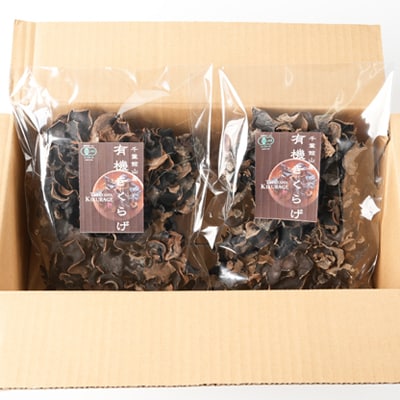 【館山市の廃校活用】千葉県館山産　有機(オーガニック)乾燥きくらげ(100g×2パック)