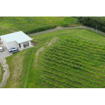 マシューズワイン　サザングレイス　赤白セット　(シラーズ/シャルドネ)各750ml×1本(計2本)