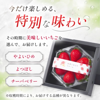 【先行予約 2027年1月中旬以降発送】旬の品種を厳選 きらめく旬のいちご 約180g