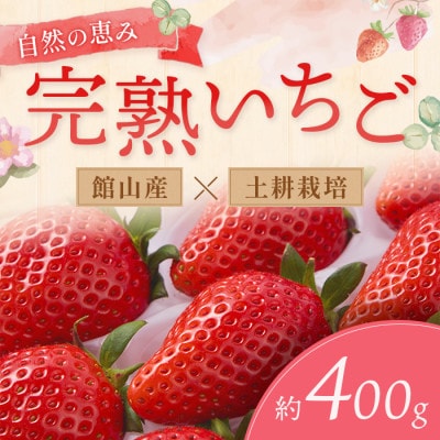 【先行予約 2027年1月中旬以降発送】旬の品種を厳選 至福の完熟いちご 約400g 化粧箱入り