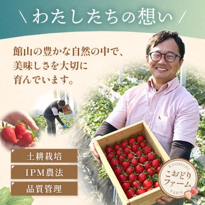 【先行予約 2027年1月中旬以降発送】旬の品種を厳選 至福の完熟いちご 約400g 化粧箱入り