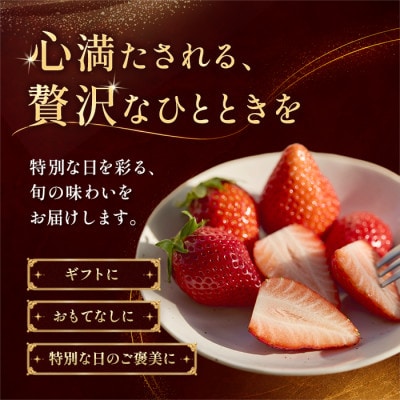 【先行予約 2027年1月中旬以降発送】旬の品種を厳選 至福の完熟いちご 約800g 化粧箱入り