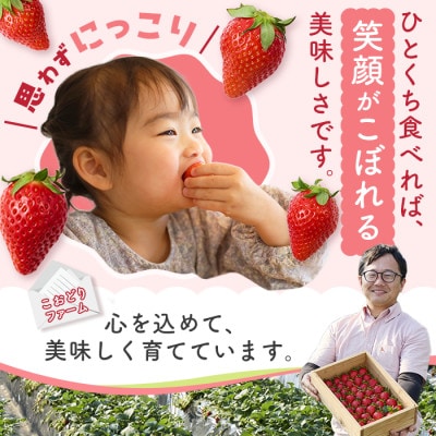 【先行予約 2027年1月中旬以降発送】旬の品種を厳選 至福の完熟いちご 約800g