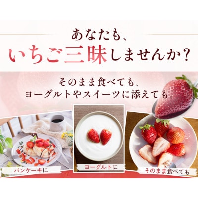 【先行予約 2027年1月中旬以降発送】旬の品種を厳選 至福の完熟いちご 約600g