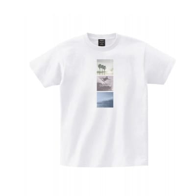 【館山市】TOPOS|Photo+T|LAT35°Nプロジェクト|Sサイズ
