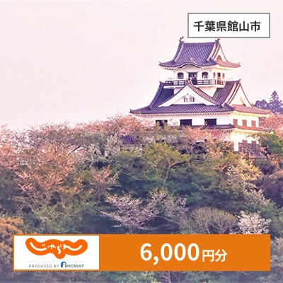 【じゃらんふるさと納税クーポン】 千葉県館山市でつかえる6,000円 クーポン