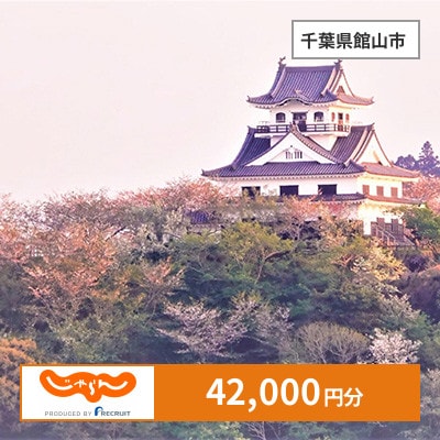 【じゃらんふるさと納税クーポン】 千葉県館山市でつかえる42,000円 クーポン