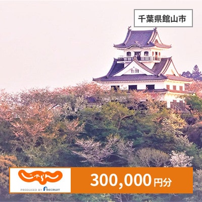 【じゃらんふるさと納税クーポン】 千葉県館山市でつかえる300,000円 クーポン