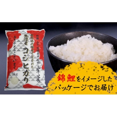 【錦鯉デザイン】特別栽培米 魚沼産コシヒカリ 精米5kg 棚田米 錦鯉発祥の地 小千谷産 新潟県
