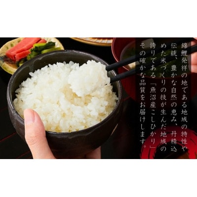 【錦鯉デザイン】特別栽培米 魚沼産コシヒカリ 精米5kg 棚田米 錦鯉発祥の地 小千谷産 新潟県