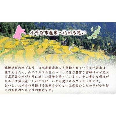 【錦鯉デザイン】特別栽培米 魚沼産コシヒカリ 精米5kg 棚田米 錦鯉発祥の地 小千谷産 新潟県