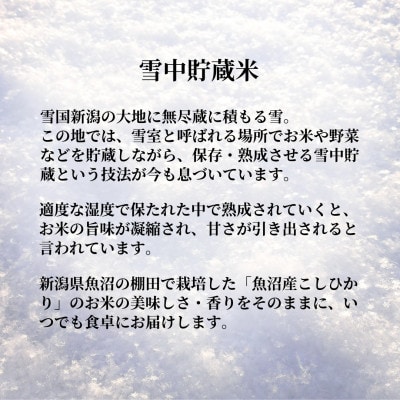 ふっくら美味しい魚沼産コシヒカリ雪中貯蔵米パックご飯180g×12個