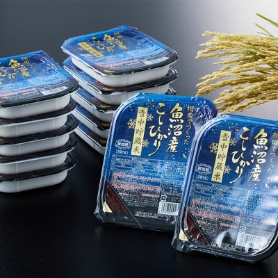 魚沼産コシヒカリ雪中貯蔵米パックご飯12個
