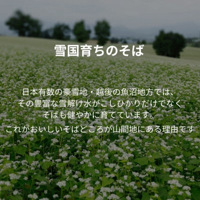 たかのの小千谷そば 200g×5袋 つゆ付