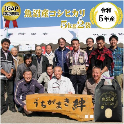 令和5年産 魚沼産コシヒカリ 精米5kg×2袋(JGAP認証農場)
