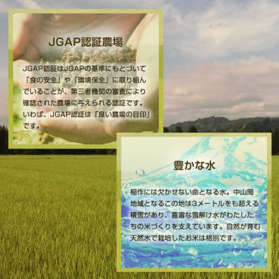 令和5年産 魚沼産コシヒカリ 精米5kg×2袋(JGAP認証農場)