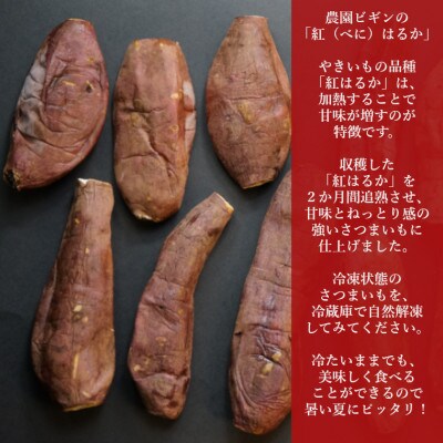 魚沼熟成 蜜やきいも 2~3本×4袋 冷凍 熟成 紅はるか