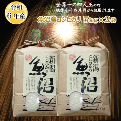 令和6年産 魚沼産コシヒカリ10kg(5kg×2袋) 四尺玉花火の町小千谷市片貝町 米萬商店