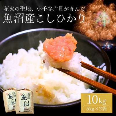 令和7年産 魚沼産コシヒカリ10kg(5kg×2袋) 四尺玉花火の町小千谷市片貝町 米萬商店