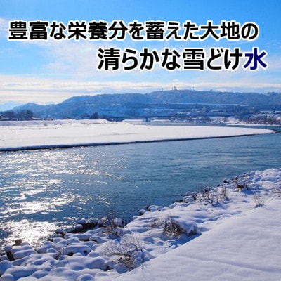 【令和6年産】魚沼産 コシヒカリ おぢや米 5kg JA魚沼