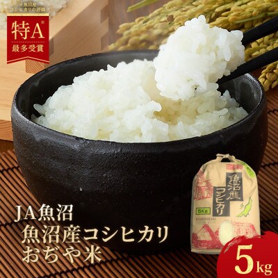 【令和6年産】魚沼産 コシヒカリ おぢや米 5kg【クラフト袋入】 JA魚沼