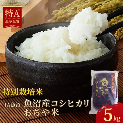 【令和6年産】特別栽培米 魚沼産 コシヒカリ 5kg(精米) JA魚沼