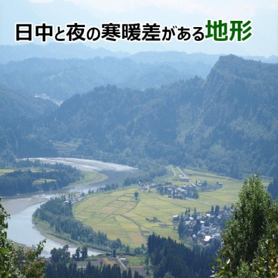 【令和6年産】特別栽培米 魚沼産 コシヒカリ 5kg(精米) JA魚沼
