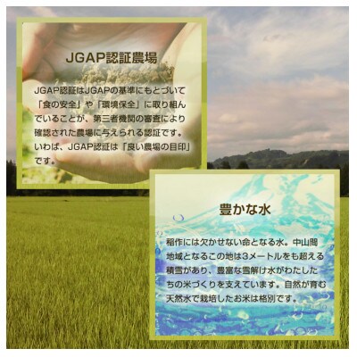 【令和6年産】魚沼産 コシヒカリ 特別栽培米「伊乎乃(いおの)」3kg うちがまき絆 精米 新潟県