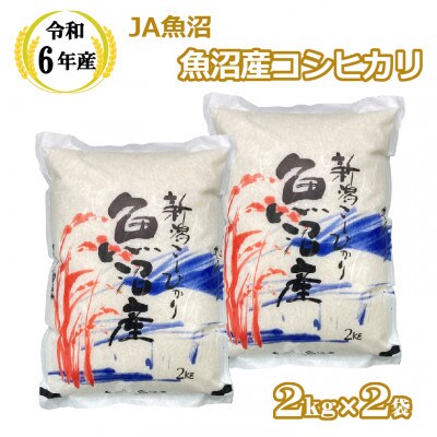 【令和6年産】魚沼産 コシヒカリ 2kg×2袋 JA魚沼
