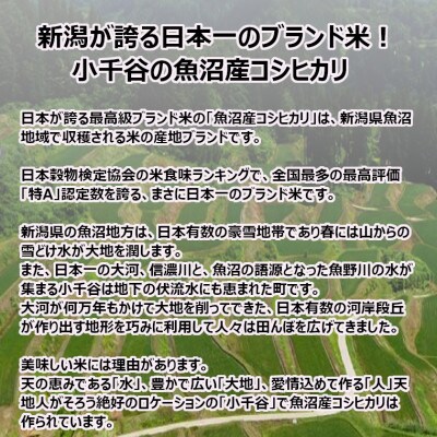 【令和6年産】魚沼産コシヒカリ おぢや米 3kg×2袋(クラフト袋入) JA魚沼
