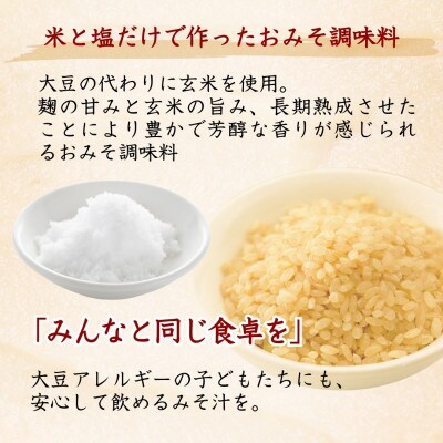 山崎醸造 大豆を使わないおみそ調味料 300g×5個 新潟県小千谷市