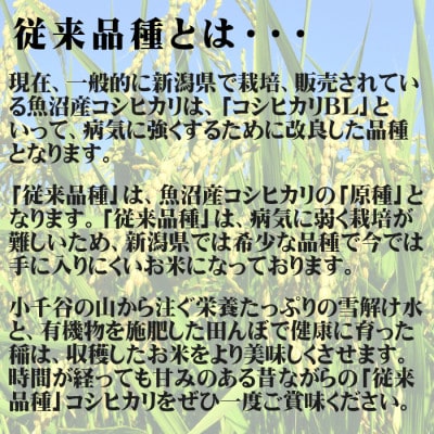 【令和6年産】昔ながらの魚沼産コシヒカリ5kg【従来品種】精米 農園ビギン 新潟県 小千谷市