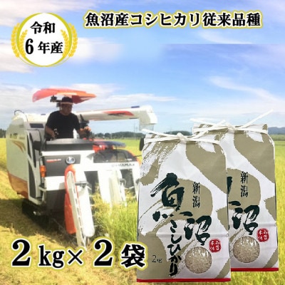 【令和6年産】昔ながらの魚沼産コシヒカリ2kg×2袋【従来品種】精米 農園ビギン 新潟県小千谷市