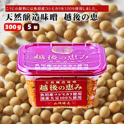 山崎醸造 みそ 天然醸造味噌 越後の恵み 300g×5個 国産大豆100% 新潟県 小千谷市