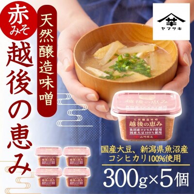 山崎醸造 みそ 天然醸造味噌 越後の恵み 300g×5個 国産大豆100% 新潟県 小千谷市
