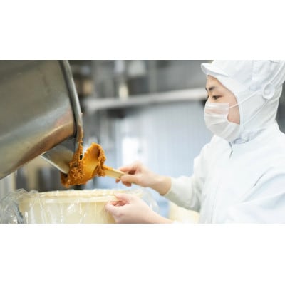 山崎醸造 みそ 天然醸造味噌 越後の恵み 300g×5個 国産大豆100% 新潟県 小千谷市