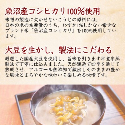 山崎醸造 みそ 天然醸造味噌 越後の恵み 300g×5個 国産大豆100% 新潟県 小千谷市