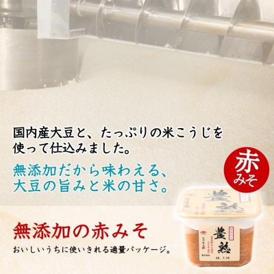 山崎醸造 越後みそ豊熟 600g×4個 赤みそ 新潟県 小千谷市