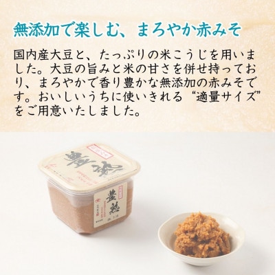 山崎醸造 越後みそ豊熟 600g×4個 赤みそ 新潟県 小千谷市