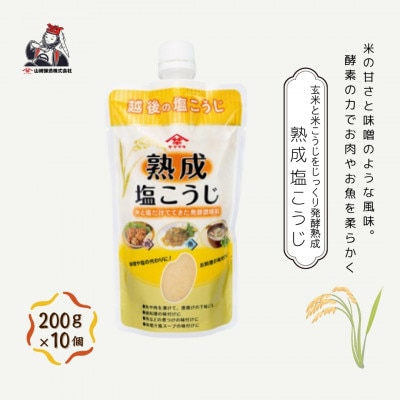 山崎醸造 熟成塩こうじ 200g×10個 新潟県 小千谷市