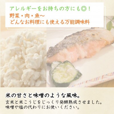 山崎醸造 熟成塩こうじ 200g×10個 新潟県 小千谷市