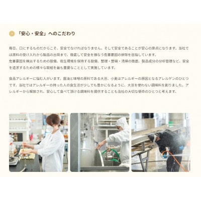 山崎醸造 熟成塩こうじ 200g×10個 新潟県 小千谷市