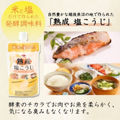 山崎醸造 熟成塩こうじ 200g×10個 新潟県 小千谷市