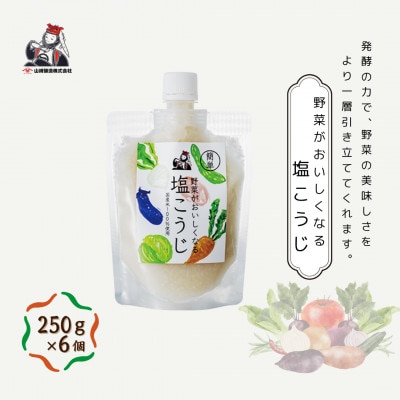 山崎醸造 野菜がおいしくなる塩こうじ (250g×6個入) 塩麹 万能調味料 新潟県 小千谷市