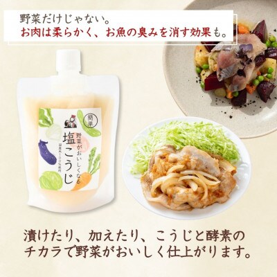 山崎醸造 野菜がおいしくなる塩こうじ (250g×6個入) 塩麹 万能調味料 新潟県 小千谷市