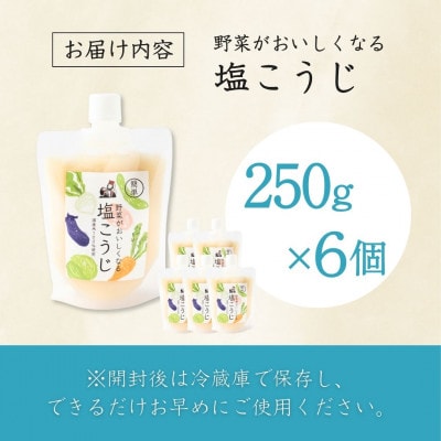 山崎醸造 野菜がおいしくなる塩こうじ (250g×6個入) 塩麹 万能調味料 新潟県 小千谷市